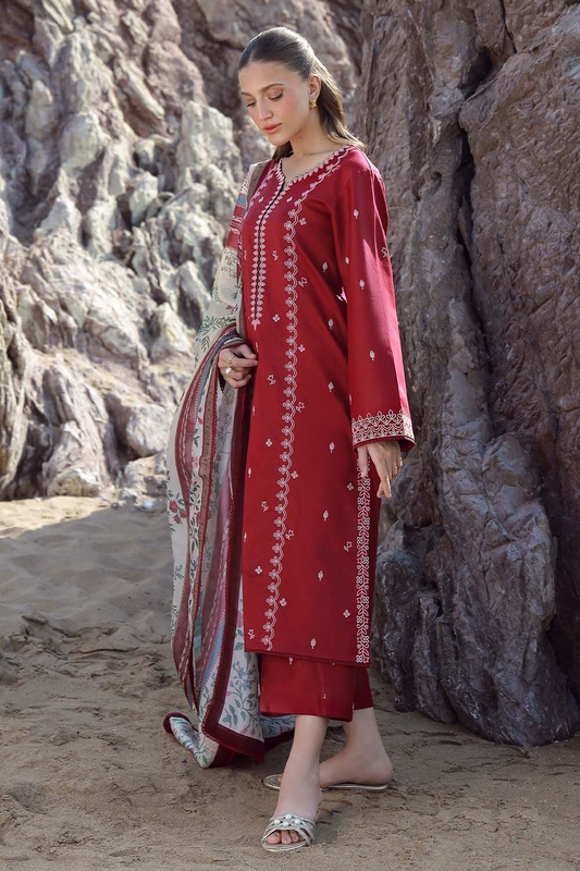Zainab Chutani Premium Dhanak Suit