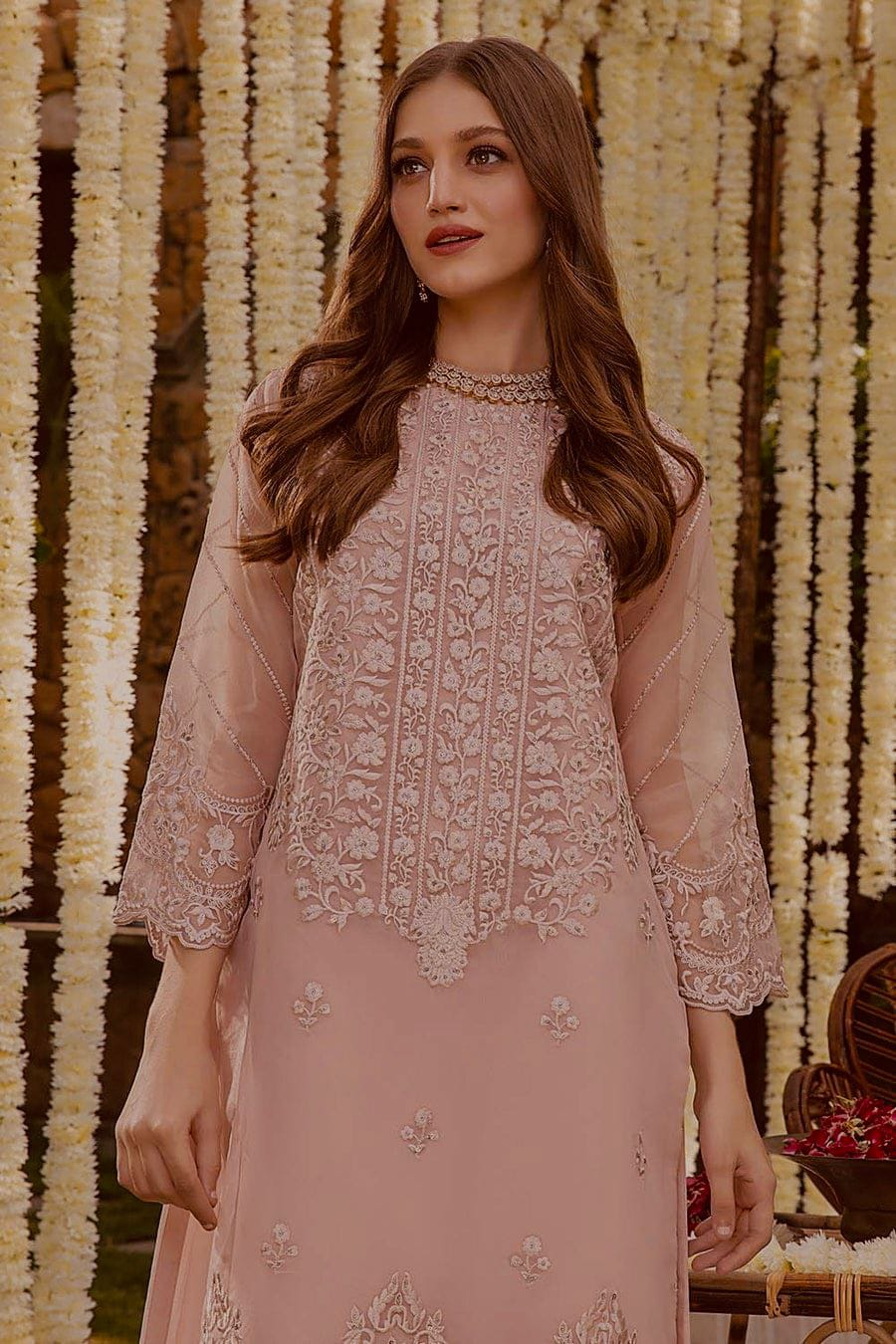 Azure Organza 2PC Embroidered Suit